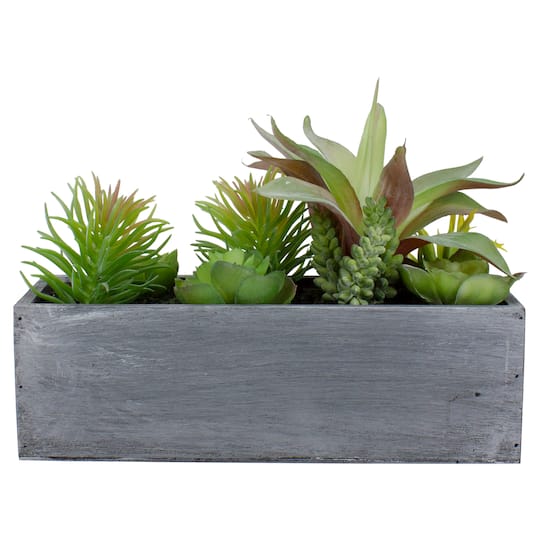12" Mixed Succulent Plants in Rectangular Planter